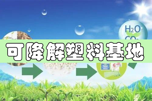 河南將建省內最大可降解塑料基地