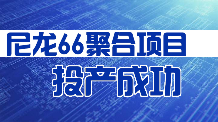 新力新材“尼龍66聚合項目”正式投產成功