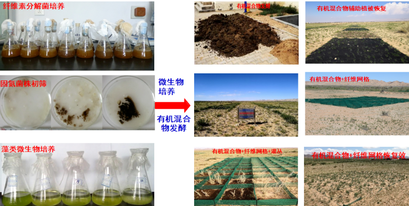 聚乳酸在荒漠化治理中成果斐然！